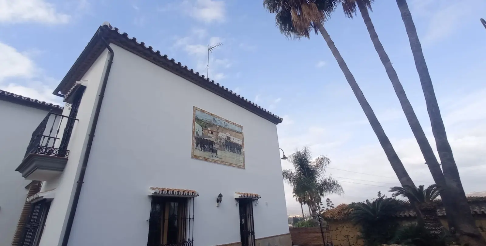 Sale of detached villa in Mijas 16