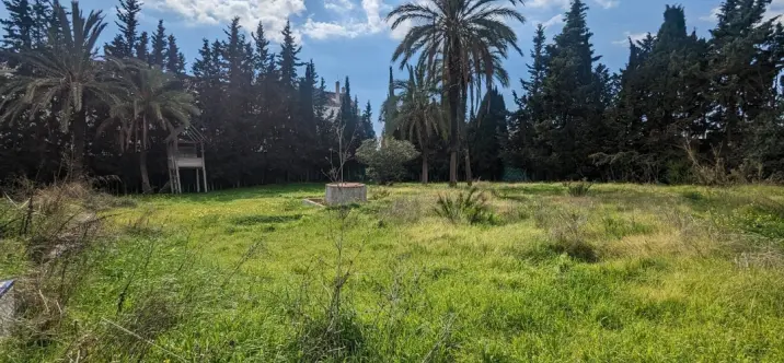 Продажа  жилого участка в Marbella 0