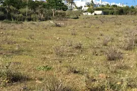 Image 4 thumb