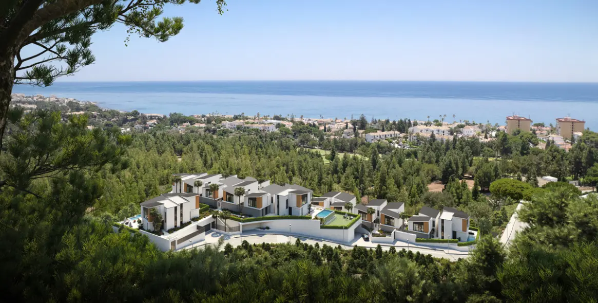 Sale of detached villa in El Chaparral 21