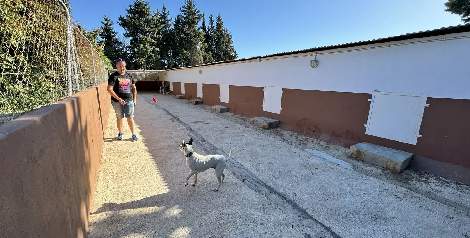 Sale of finca - cortijo in Mijas 25