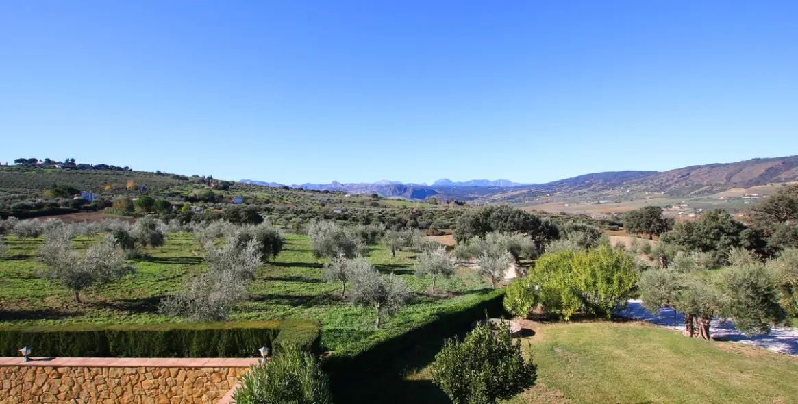 Sale of finca - cortijo in Ronda 42