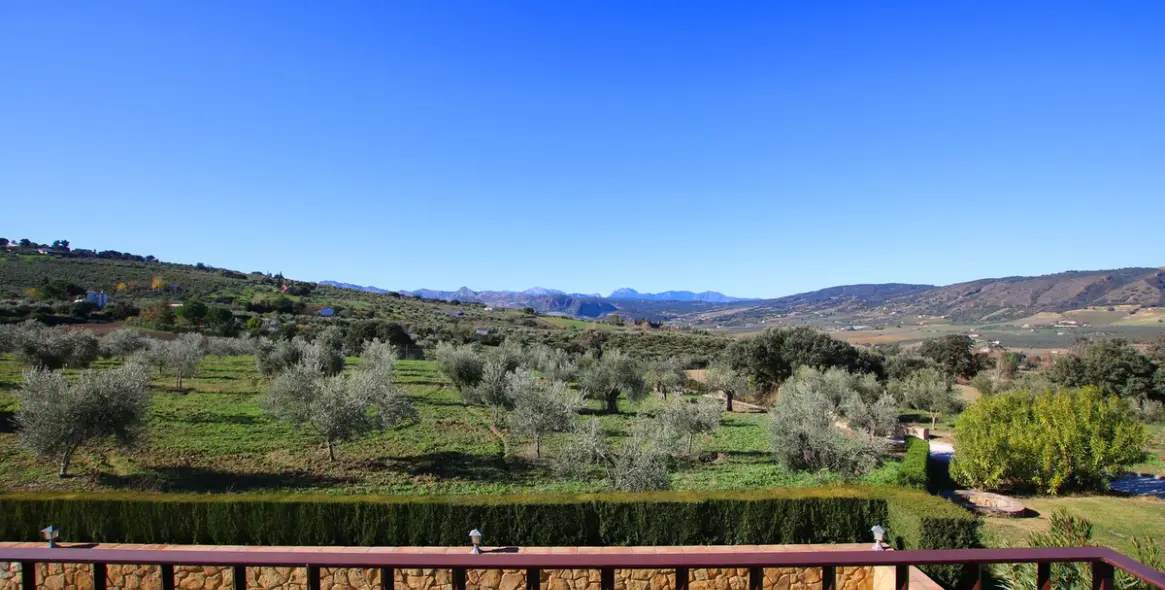 Sale of finca - cortijo in Ronda 44