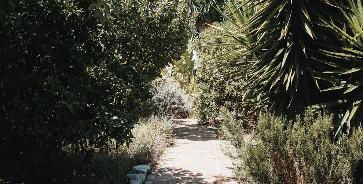 Sale of bed & breakfast in Alhaurín el Grande 59