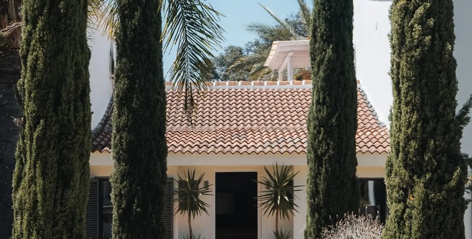 Sale of bed & breakfast in Alhaurín el Grande 39