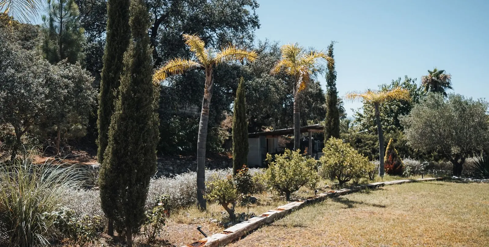 Sale of bed & breakfast in Alhaurín el Grande 53