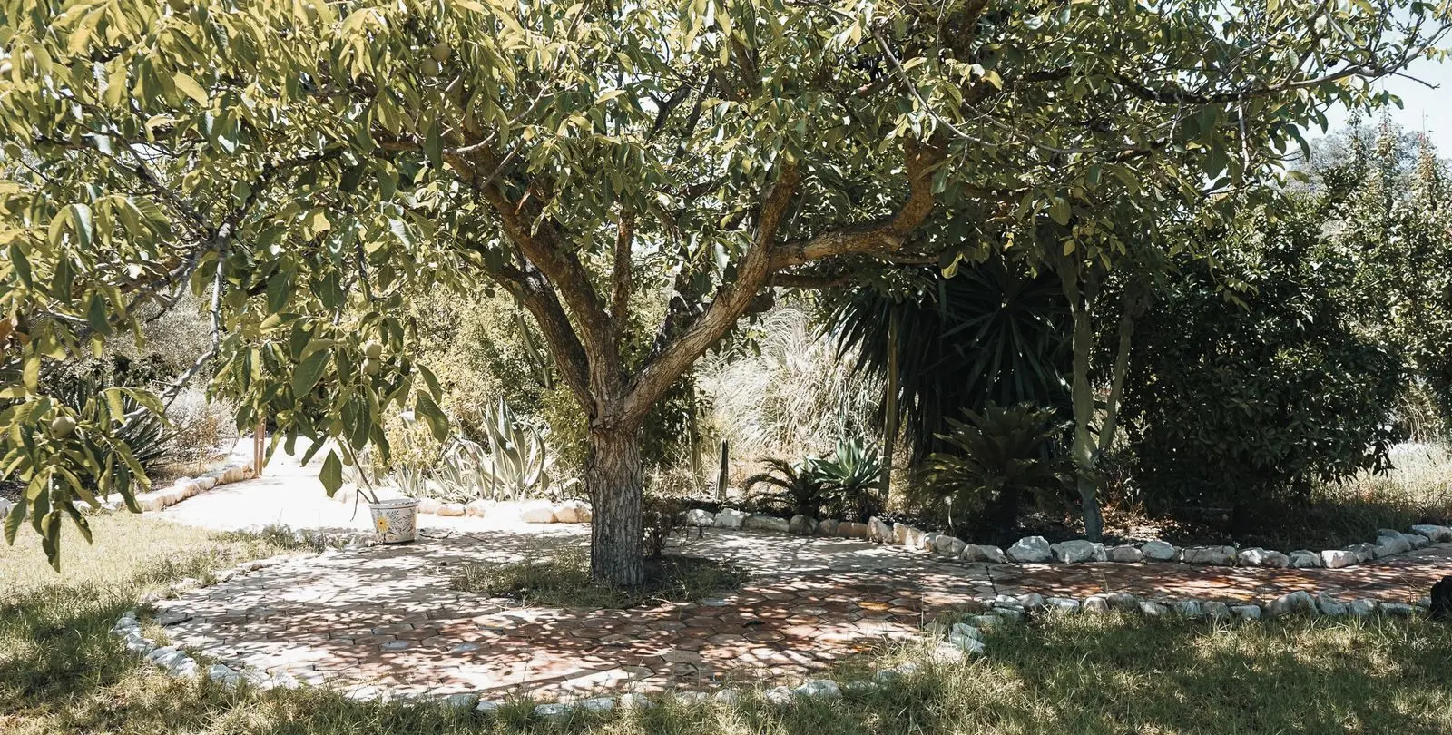 Sale of bed & breakfast in Alhaurín el Grande 55