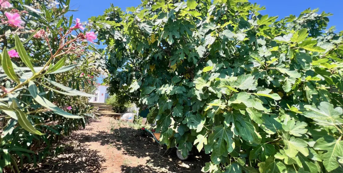 Продажа  отдельно стоящей виллы в Estepona 26