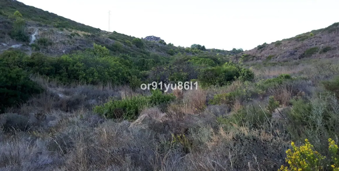 Venta de finca - cortijo en Casares 12