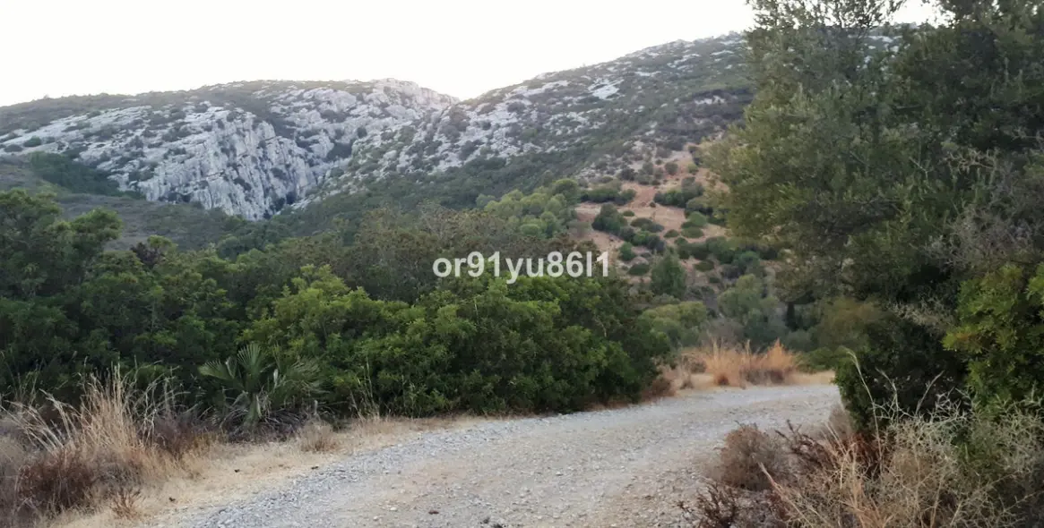 Venta de finca - cortijo en Casares 13