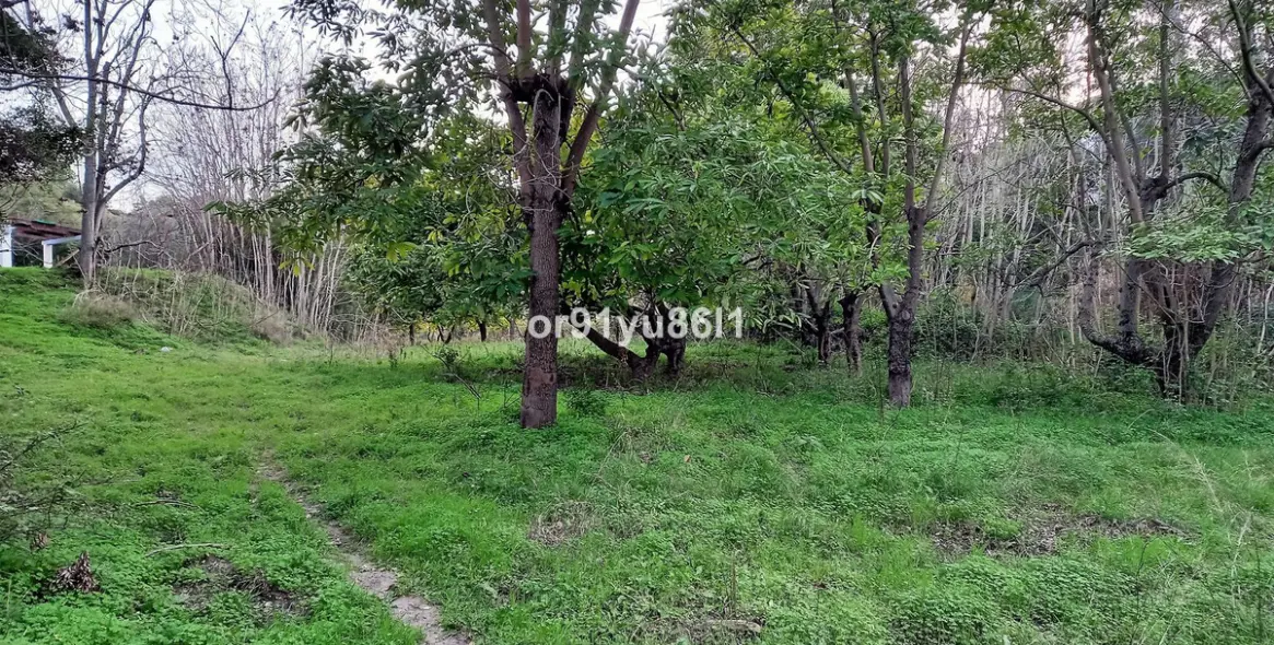 Venta de finca - cortijo en Casares 18