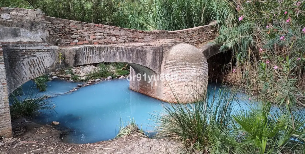 Venta de finca - cortijo en Casares 19