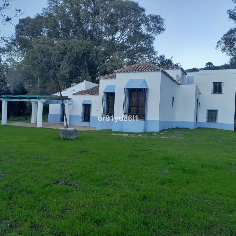 Sale of finca - cortijo in Casares