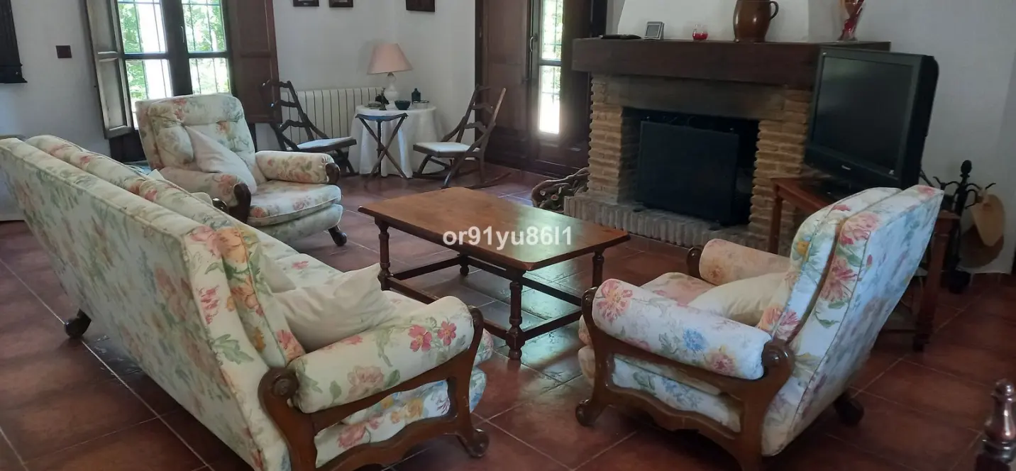 Sale of finca - cortijo in Casares 2