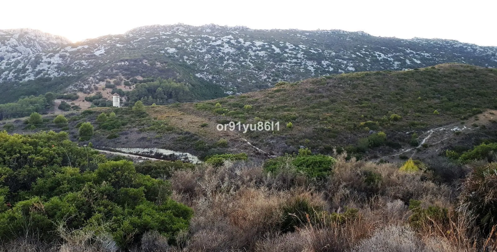 Sale of finca - cortijo in Casares 11