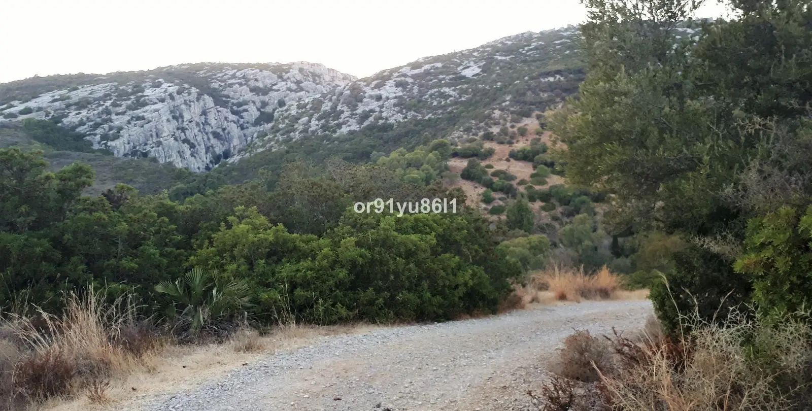 Sale of finca - cortijo in Casares 13