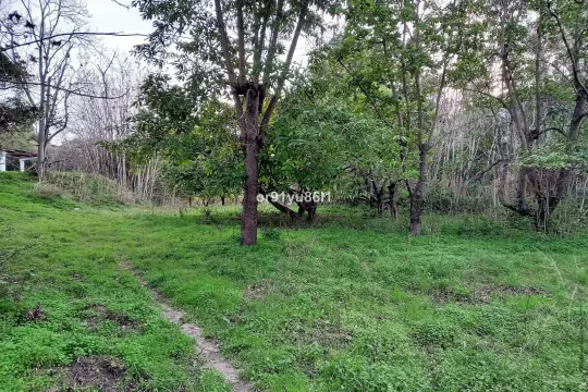 Image 18 thumb