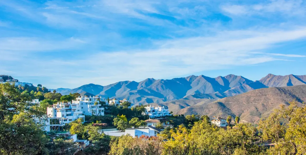 Продажа  отдельно стоящей виллы в La Mairena 8