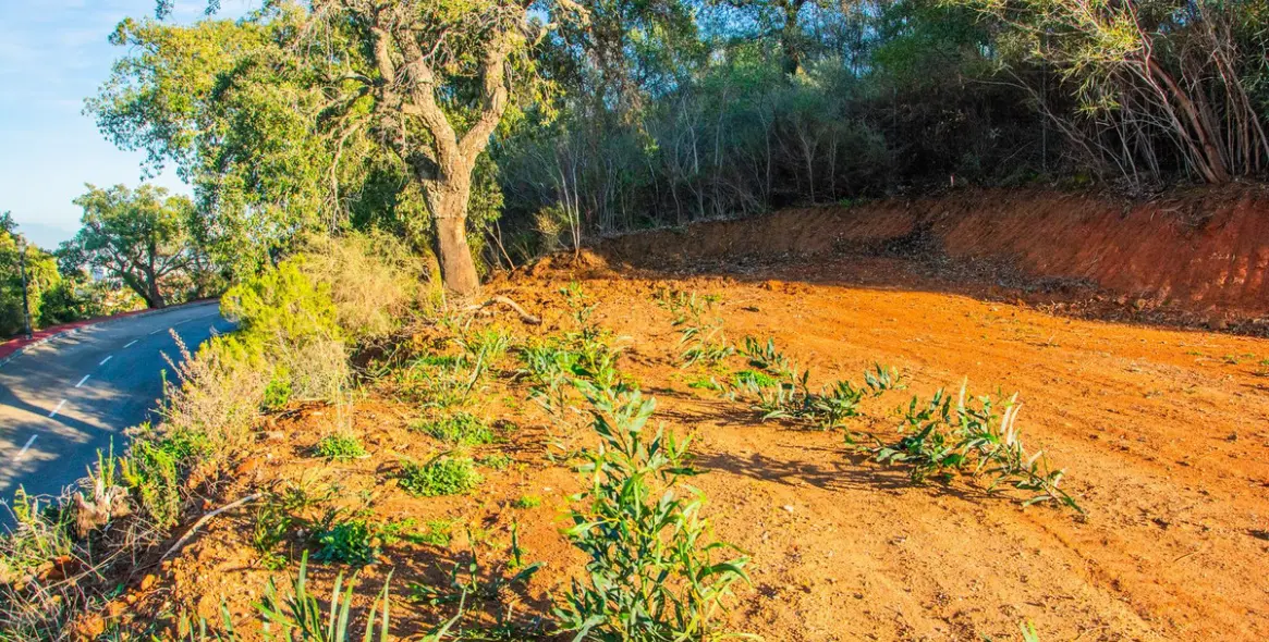 Venta de villa independiente en La Mairena 9