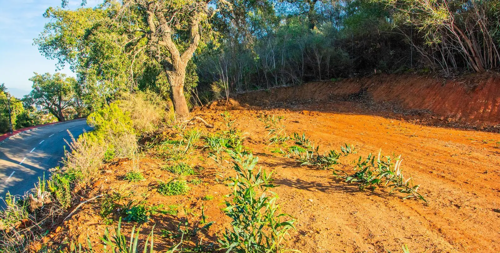 Venta de villa independiente en La Mairena 9