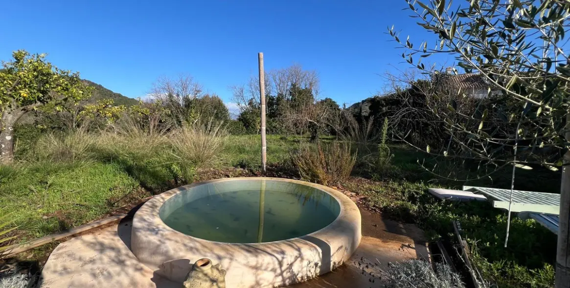 Продажа финки в Monda 32