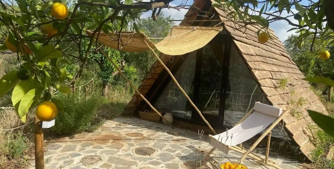 Продажа финки в Monda 34