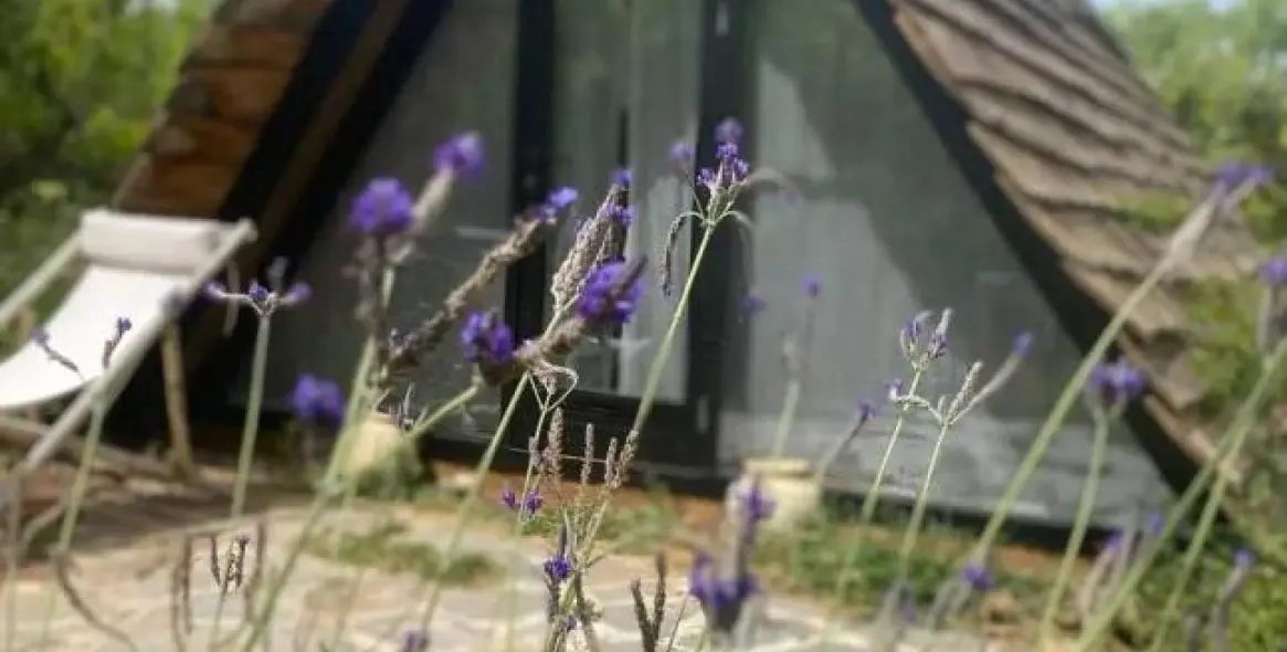 Продажа финки в Monda 38