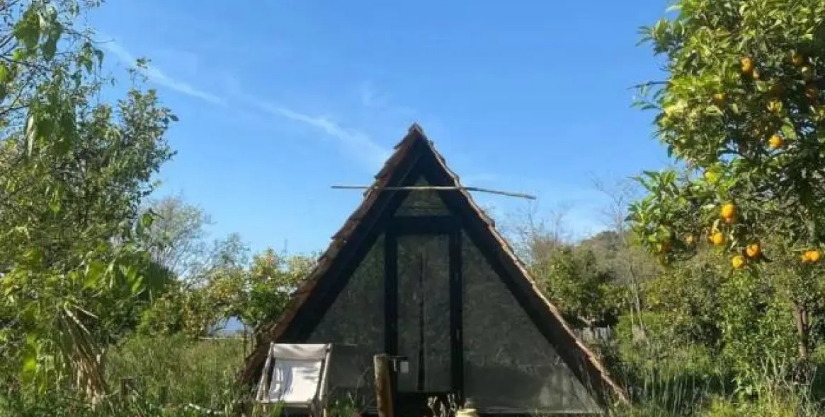 Продажа финки в Monda 40