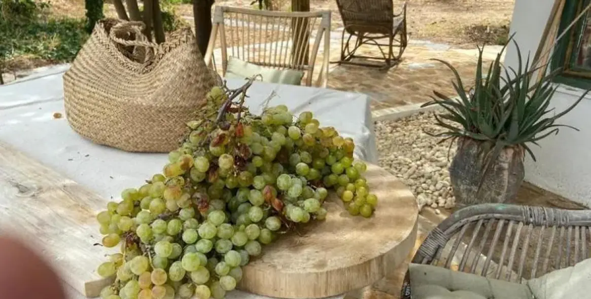 Продажа финки в Monda 44