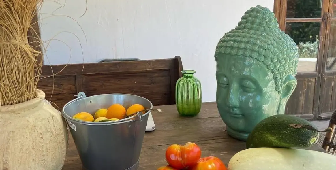 Продажа финки в Monda 46