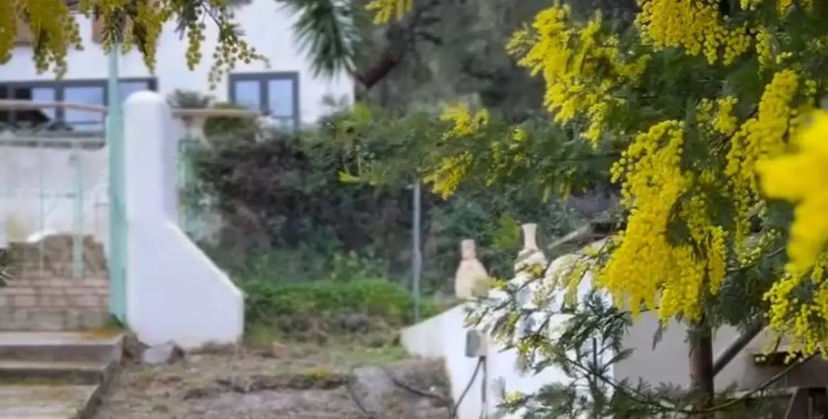 Продажа финки в Monda 49