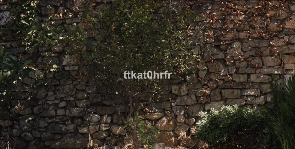 Продажа  отдельно стоящей виллы в Nueva Andalucía 18