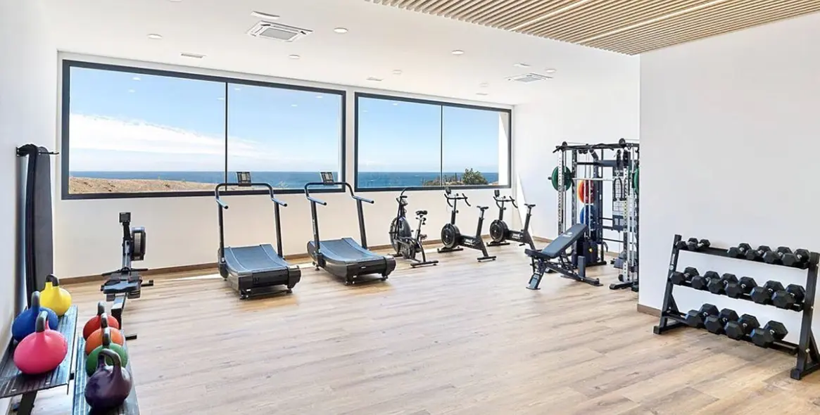 Sale of penthouse duplex in Carvajal 24