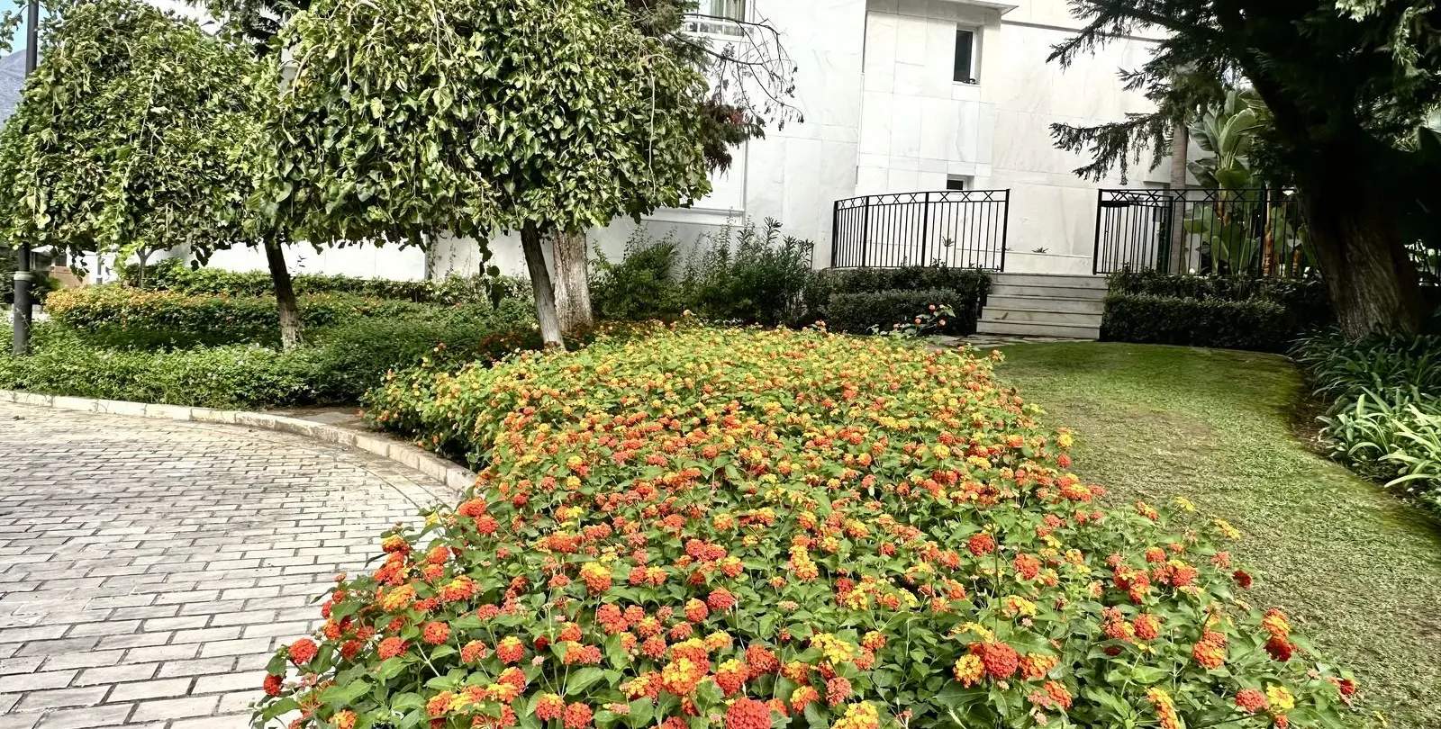 Sale of middle floor apartment in Marbella 66