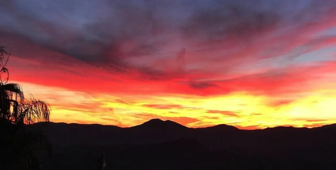 Продажа  отдельно стоящей виллы в Mijas 40