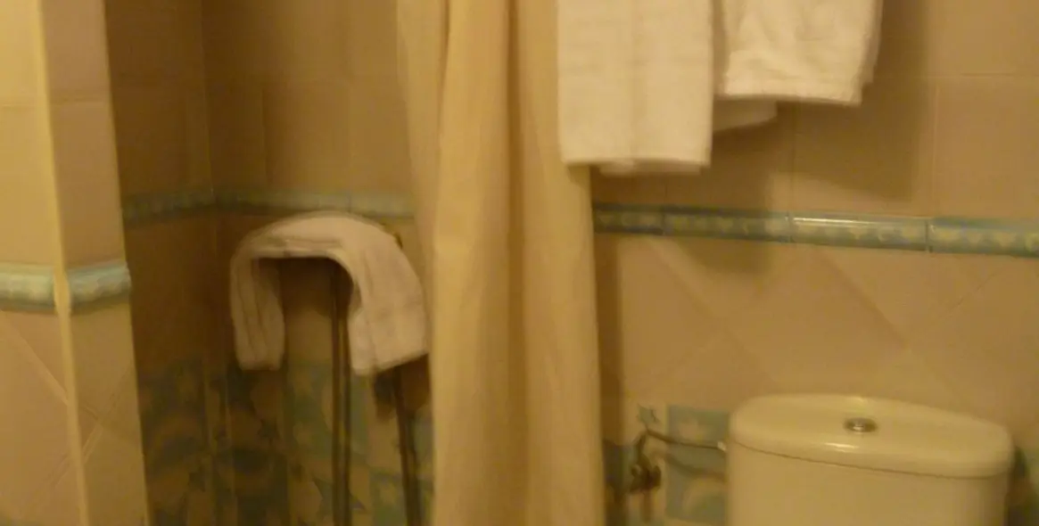 Продажа отеля в Casares Pueblo 8