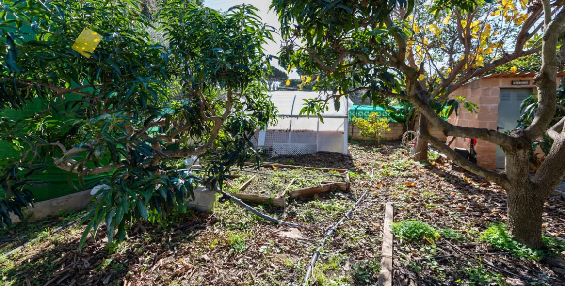 Продажа  отдельно стоящей виллы в Las Chapas 32