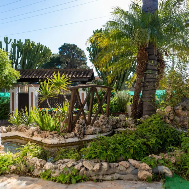 Sale of detached villa in Las Chapas