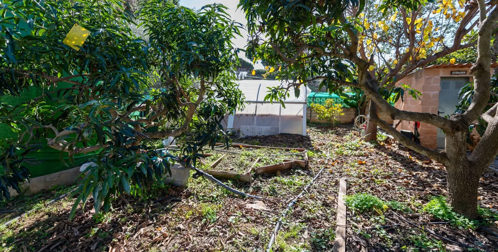 Sale of detached villa in Las Chapas 32