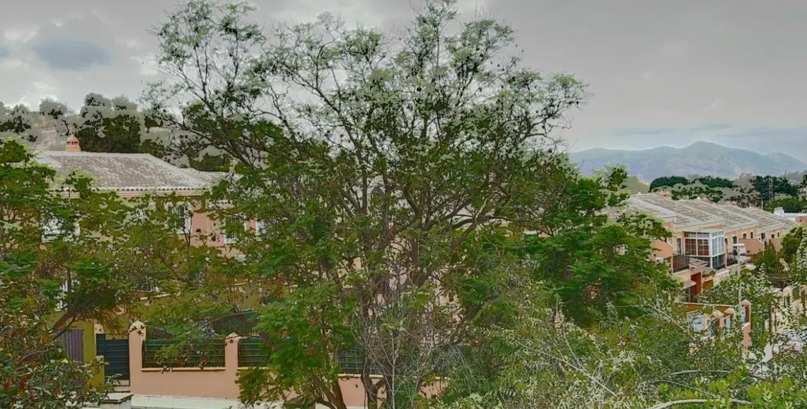 Sale of finca - cortijo in Campanillas 4