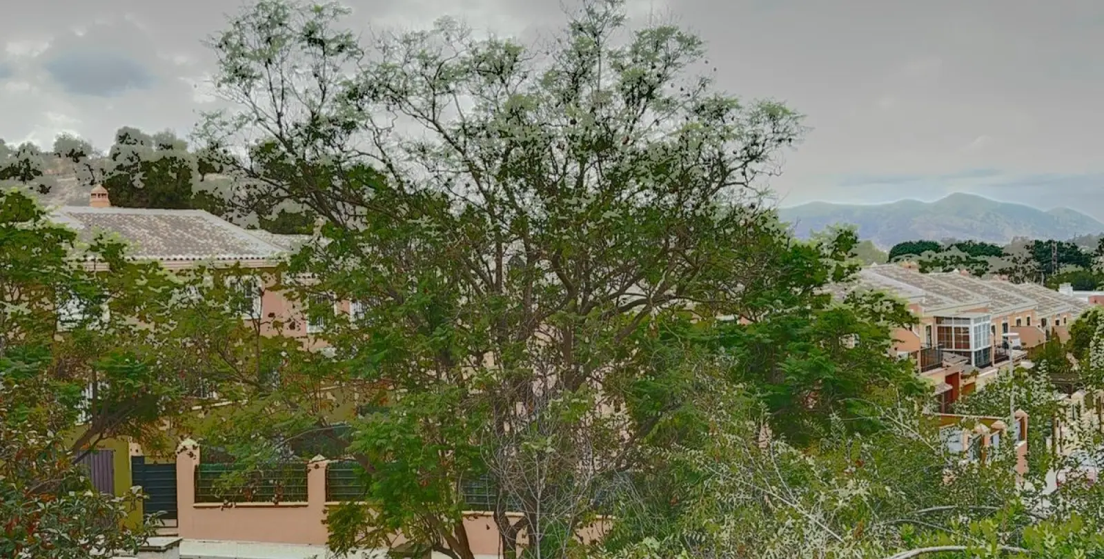 Venta de finca - cortijo en Campanillas 4