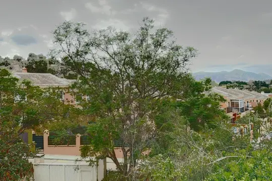 Image 4 thumb