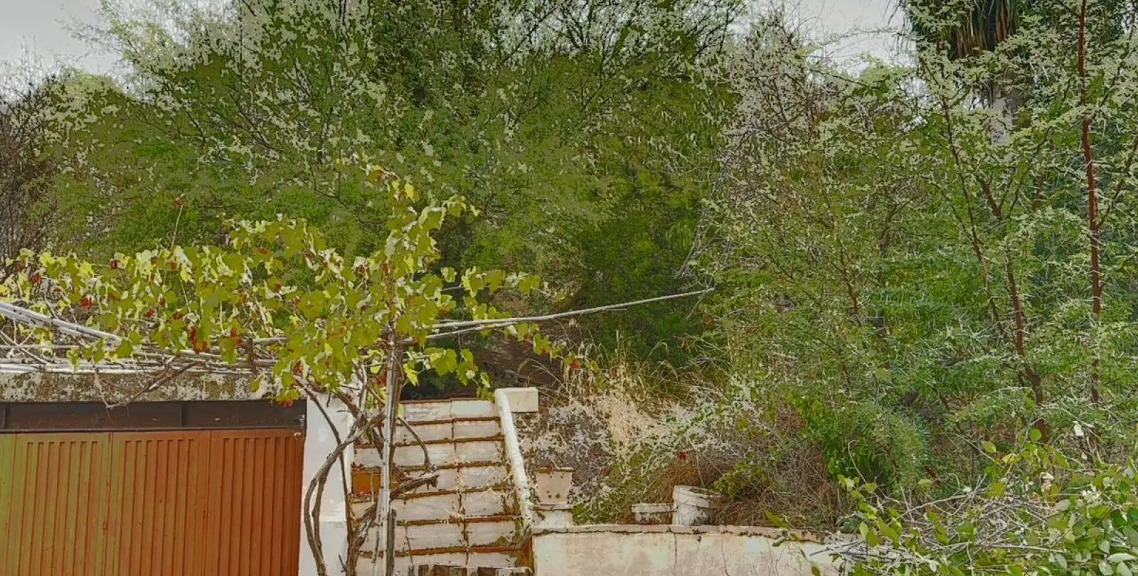 Venta de finca - cortijo en Campanillas 25
