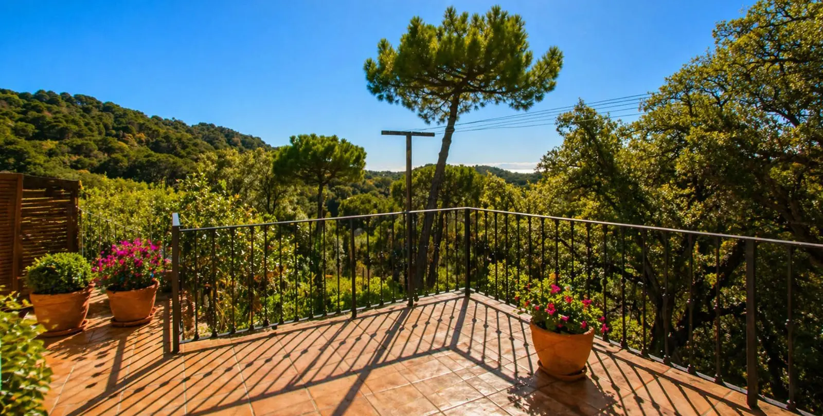Venta de finca - cortijo en Casares 54