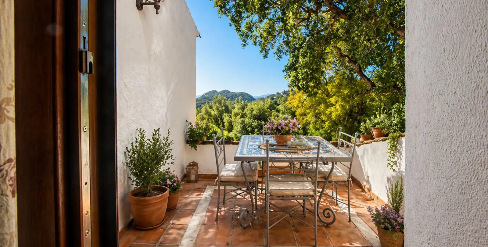 Venta de finca - cortijo en Casares 55