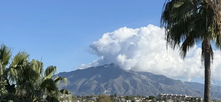 Sale of semi-detached house in Guadalmina Alta 0