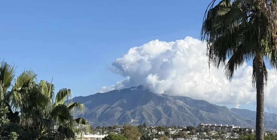 Продажа дома на две семьи в Guadalmina Alta 1
