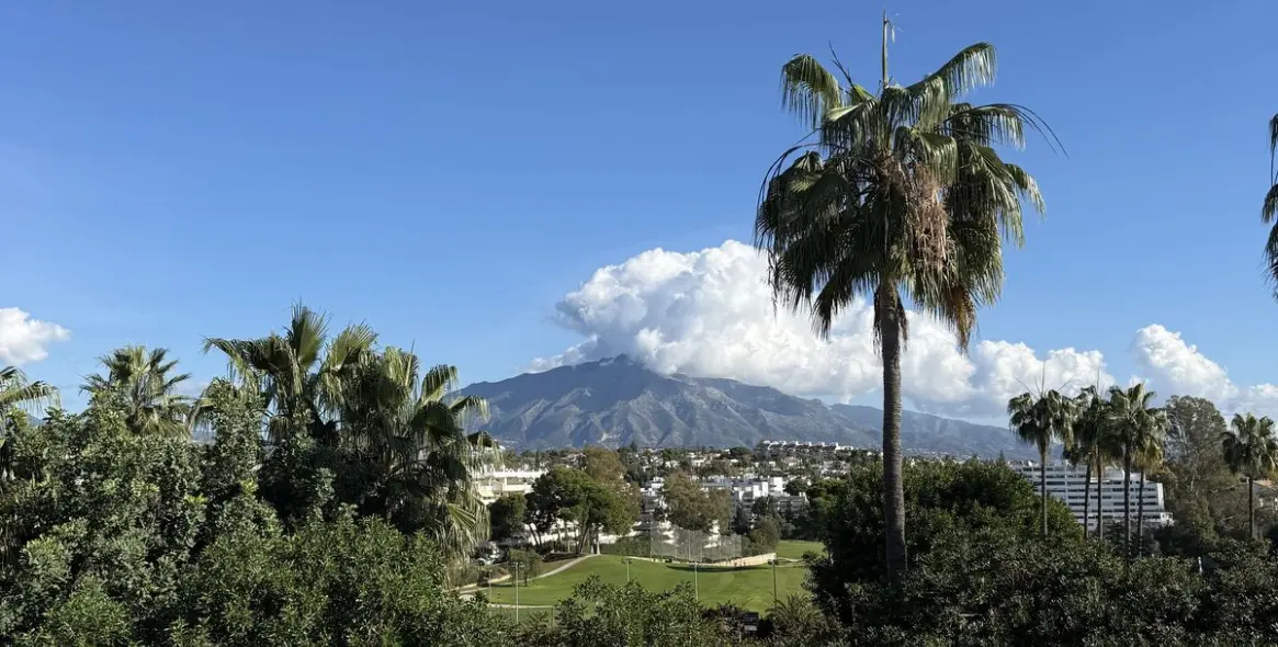 Продажа дома на две семьи в Guadalmina Alta 15