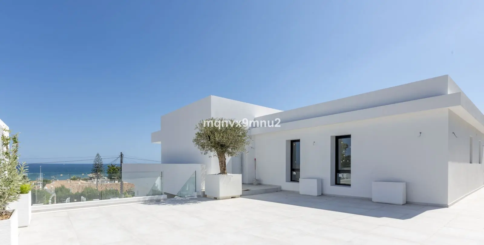 Sale of detached villa in El Chaparral 6