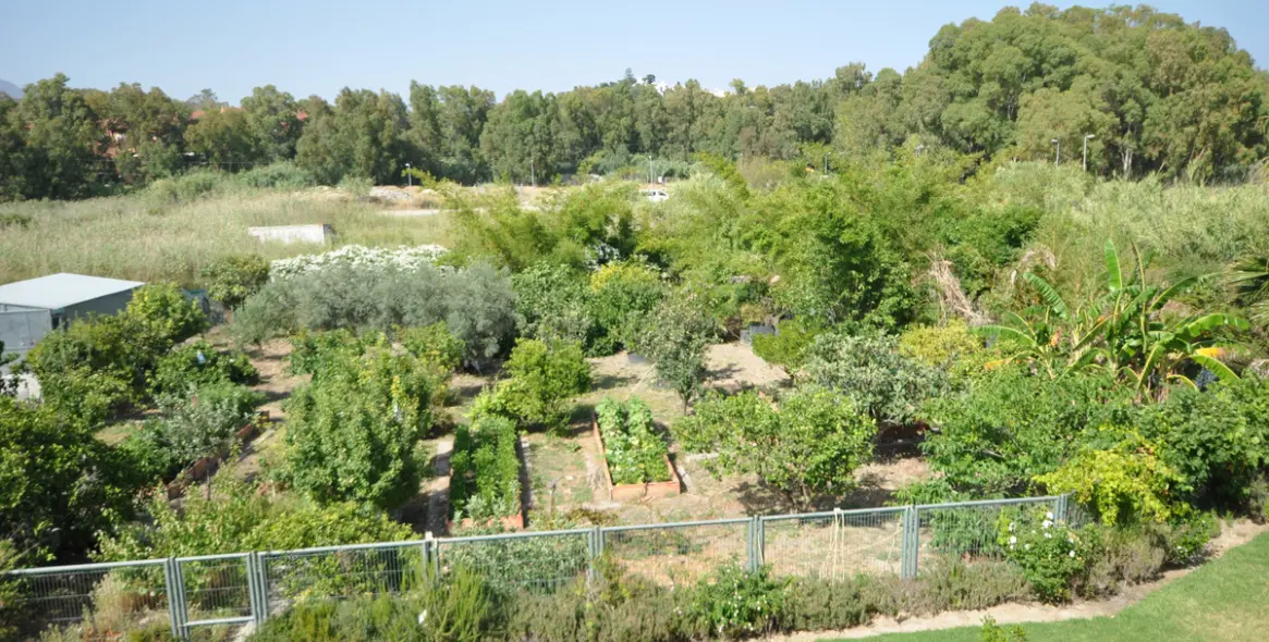 Продажа  отдельно стоящей виллы в Casares Playa 57